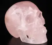 5.0" Rose Quartz Crystal Skull, Hand Carved Gemstone Fine Art Sculpture, Reik...