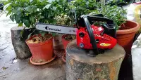 在飛比找Yahoo!奇摩拍賣優惠-日本進口小松10英吋引擎鏈鋸機居家花園,務農,園藝整理/果樹