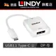 LINDY TYPE-C DP轉接器 主動式 USB3.1 TYPE-C公 To DP母 帶PD 43289 43245