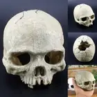Skull Aquarium Decoration Terrarium Reptile Fish Tank Ornament Landscape Resin