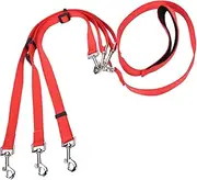 BESPORTBLE Dog Walking Leads Chain Ring Leashes Pet Dog Walkers Small Dog Leash Pet Leash Dog Walking Leash Walk The Dog Heavy Duty Straps Dog Training Leash Dog Belt Leash Red