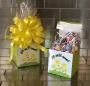 Get Well Soon Dum-Dum Lollipops Gift Basket-Box Wrapped With Yellow Bow