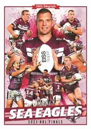 MANLY WARRINGAH SEA EAGLES NRL RUGBY team player poster ,BARGAIN