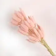 19 Inch Natural Bunny Tails Dried Flowers，Bohemian Style，Pampas Grass Decor，120 Pcs Dried Flowers，Eternal and Preserving Floral Arrangement in Home Decoration ﻿(Light Pink)