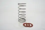 New Genuine OEM CLA-VAL C7948H Spring 100 8 302 w/ Assorted Washers Ships FREE
