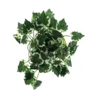 Climbing Vines with Leaves Terrarium Plant Decoration Terrarium