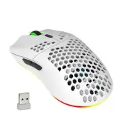 HXSJ T66 Wireless Gaming Mouse,2.4GHz Lightweight Honeycomb Shell Ergonomic RGB