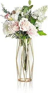 Glass Vase with Metal Bracket, Golden Plated Geometric Metal Frame Nordic Modern Decoration for Living Room Home Kitchen Dinner Table Shelf Office Desk Decor
