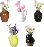 Cute Ceramic Vase Fridge Magnets, Funny Mini Plant Magnets, Tiny 3D Plant Vase for Refrigerator Decoration Kitchen Locker Kitchen Office (5 Pack)
