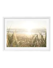[Profile Australia] Made Beach Grass Sunset Art A1 Wall Art in White
