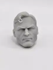 3d Printed ALEX ROSS Super Hero Man HEAD 6" 1:12 Classified LEGENDS Scale