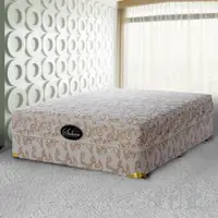 在飛比找momo購物網優惠-【絲麗翠】凱薩3線乳膠 雙人手工硬式彈簧床墊(不含床頭及床座