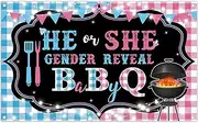 Luminora 72 x 43 Inch He or She What Will Baby Be Gender Backdrop Newborn Announcement Pregnancy Party Decoration Photo Studio Booth Props Banner