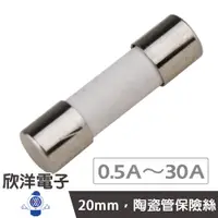 在飛比找蝦皮商城優惠-20mm250V耐熱陶瓷管保險絲0.5A/1A/2A/2.5