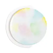 Non Sans Raison Sorbet Dinner Plate