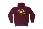 Best Plumber Solar System - Funny Novelty Hoodies Hoodie
