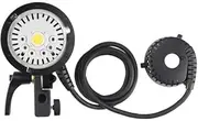 Godox AD-H600P H600P 600W Flash Head Protable Extension Bowens Mount Head for Godox AD600Pro II AD600PROII, AD600 Pro, AD600BM II, AD600BM, for Flashpoint XPLOR600 PRO
