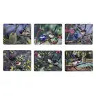Ashdene Kitchen Cork Backed Placemats & Coasters Australian Wren Set 6