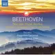 (NAXOS)貝多芬：世俗聲樂作品/VA Beethoven: Secular Vocal Works