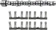 MSQ-CD MDS Lifters Camshaft Kit Replacement for 2009-2018 Ram 1500 5.7L Hemi 53022263AF 53022263AE 53021726AD 53021726AE 5038785AD 5038684AA 68060714AA