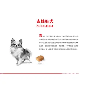 效期2025年2月🌻🎖️ 皇家 CHA 吉娃娃成犬 3KG / 3公斤 狗飼料 犬糧 成犬飼料 吉娃娃飼料