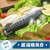 在飛比找ihergo愛合購優惠-免運!【鮮藏】富含DHA鮮美鯖魚 160g/包 (20片20