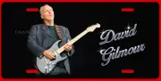 DAVID GILMOUR ART LICENSE PLATE