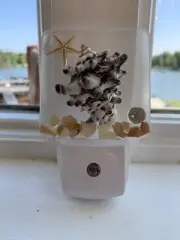 Sea Shell With Star Fish Plug In Led Night Light,auto Dusk To Dawn Sensor