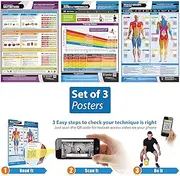 Exercise and Training Essentials Posters - Set of 3 | Laminated Exercise Posters | Size - 420mm x 594mm (A2) | Prepare The Body for Physical Training and Workouts | Improves Personal Fitness