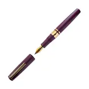 Esterbrook Model J Fountain Pen in Blackberry Ebonite w/ Gold Trim - Extra Fine