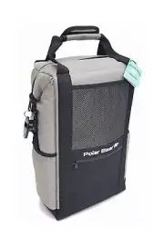 Polar Bear Coolers Original Backpack Soft Cooler Silver