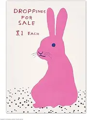 [Brainbox Candy] Official David Shrigley Postcard - 'Droppings For Sale' - Funny Postcards - David Shrigley Art - A6 Print - Artistic Postcard - Rabbit Lovers - Sold