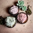 Exfoliating body scrub. Green tea + Lemongrass with walnut shell. 200g