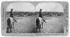 Round-up on the Sherman Ranch, Genesee, Kansas Historic Old Photo