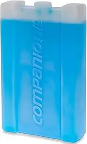 Companion Ice Brick, Large, 750 ml