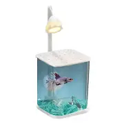 Mini Fish Tank Aquarium Fish Desktop Fishbowl With Night Light And Green Crystal
