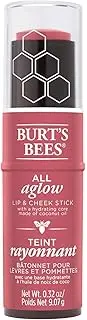 Burt's Bees All Aglow Lip and Cheek Stick 9.07 g, No.1251 Peony Pool