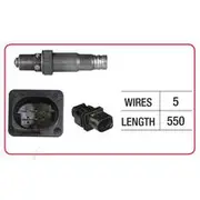 RAE Oxygen Sensor - OX806