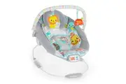 Bright Starts: Cradling Bouncer - Whimsical Wild