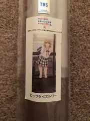 Oregairu My Teen Romantic Comedy SNAFU Iroha Shelter From The Rain BIG Tapestry