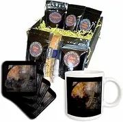 3dRose cgb_22330_1 Bearers Dreaming Dreamscape Dragonfly Mythology Animals Myth PowerAnimal Mystic-Coffee Gift Basket, Multicolor