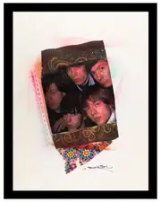 The Rolling Stones Vintage Framed Print