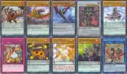 Yugioh Normal Pendulum Deck - Lancephorhynchus Sky Dragoons of Draconia Tenyi