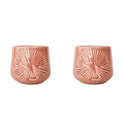 2x Urban Products Burst Pot Planter Home Garden Decor Planting Box Salmon 13cm