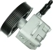 Compatible For Nissan Teana J32 VQ35 VQ25 Z51 Power Steering Pump 49110-1AA0A 49110-9N00A 49110-JA100 49110-JN10B 49110-1AA0C 49110-ZX02A