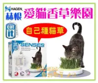 在飛比找Yahoo!奇摩拍賣優惠-【Plumes寵物部屋】HAGEN赫根《Cat it 愛貓香