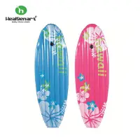 在飛比找蝦皮商城優惠-【Healgenart】夏威夷沖浪板 扶桑花 粉紅色 充氣 