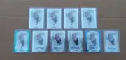 Kevin Mccune PBA Premier Edition Mega Auto Lot 5/5 9/15 5/8