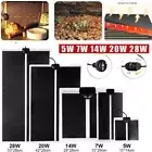 Reptile Vivarium Heat Mat Heating Warm Heater Pad With Thermostat Controller