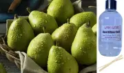 ANJOU PEAR - Reed Diffuser Refill